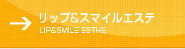 リップエステ